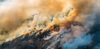 A wildfire raging through a forest, with smoke billowing.